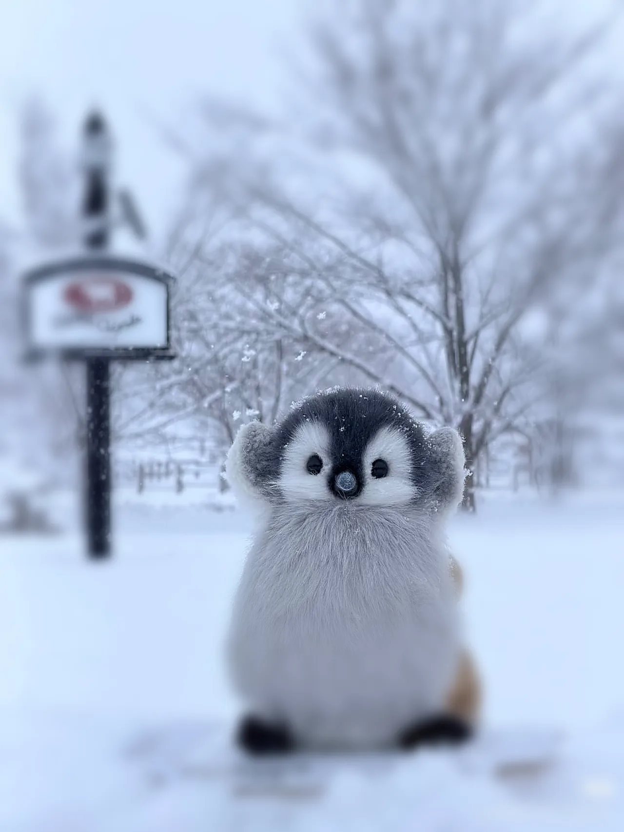 雪景色の北海道イメージ